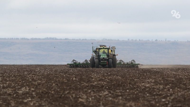 Озимыми культурами на Ставрополье в этом году засеют 2 млн га