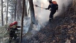 В Карачаево-Черкесии пять суток тушат пожар возле курорта Домбай0