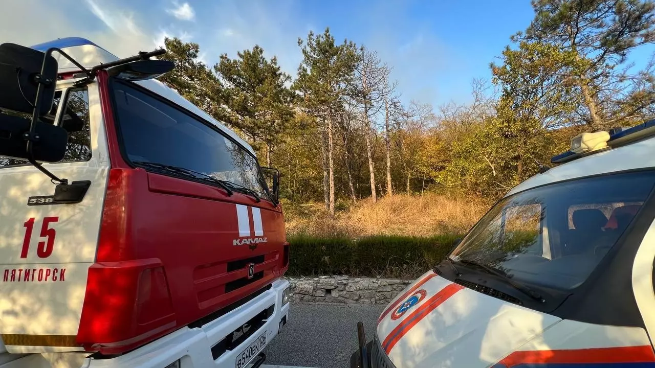 Что стало причиной пожара на горе Машук в Пятигорске0