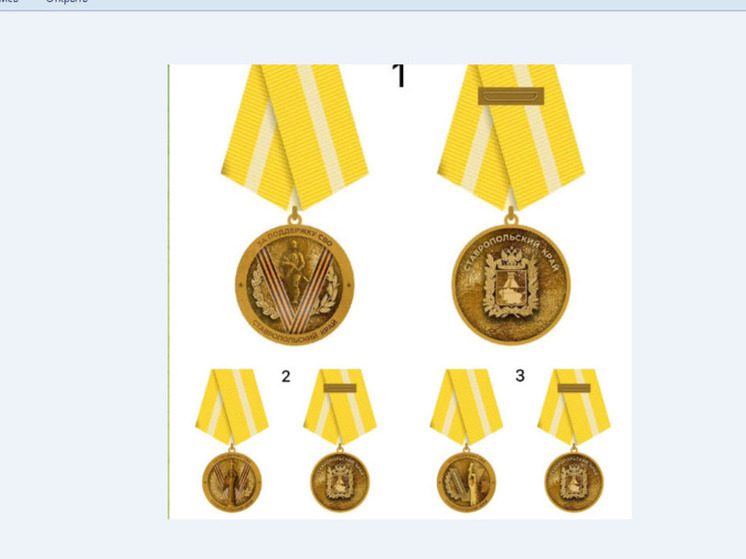 Губернатор предложил ставропольцам выбрать эскиз медали «За поддержку СВО»