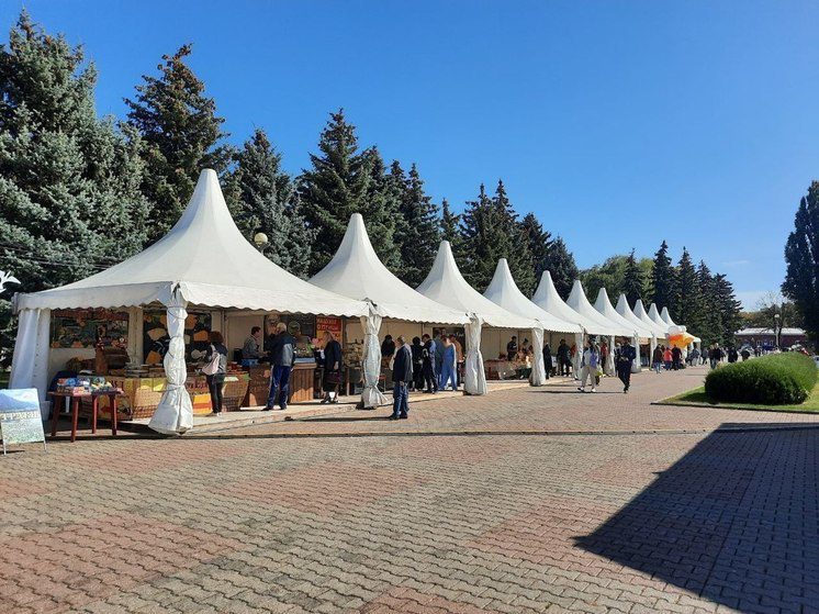 На Покровской ярмарке в Ставрополе пройдут акции эковолонтеров