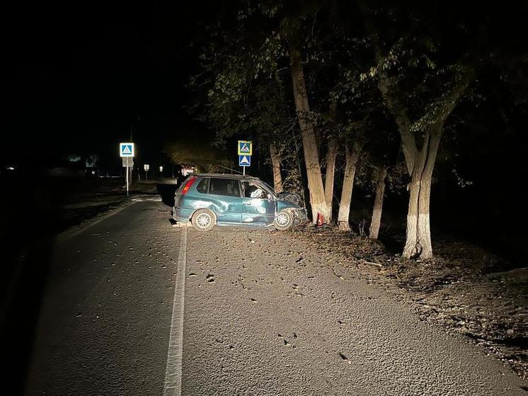 Пьяный водитель в Зеленокумке сломал ногу в ДТП с деревом