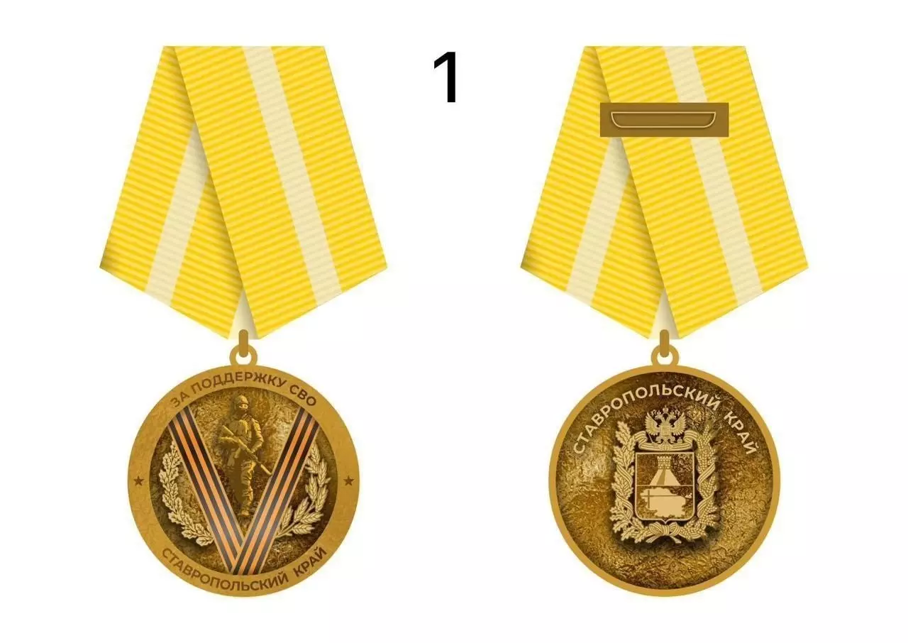 Губернатор Ставрополья утвердил дизайн медали «За поддержку СВО»