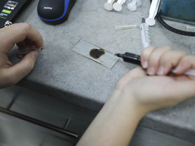 Ставропольская студентка предложила лечить закупорку сосудов магнитными микрокаплями