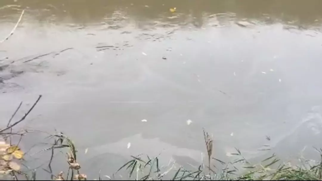 Таинственные пятна в реке Кума заметили ставропольцы0