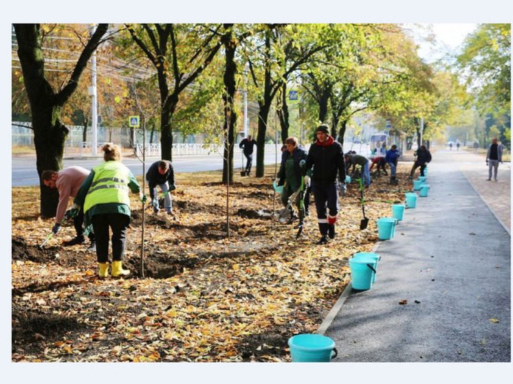 В Ставрополе высадили более 260 молодых деревьев