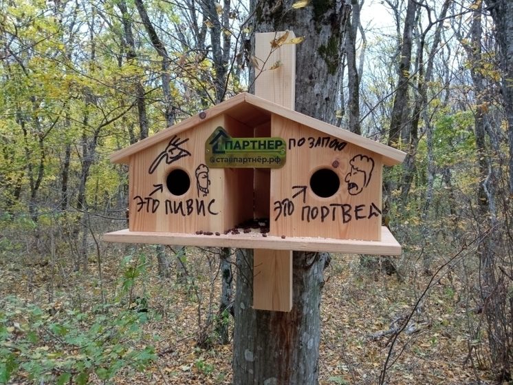 Вандалы изуродовали домики-кормушки для птиц на «Тропе здоровья» в Ставрополе