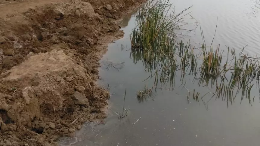 Дамба не снесена, а озеро продолжает пересыхать