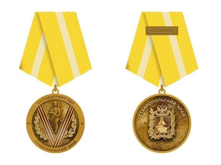 Жители  Ставрополья выбрали дизайн краевой медали «За поддержку СВО»