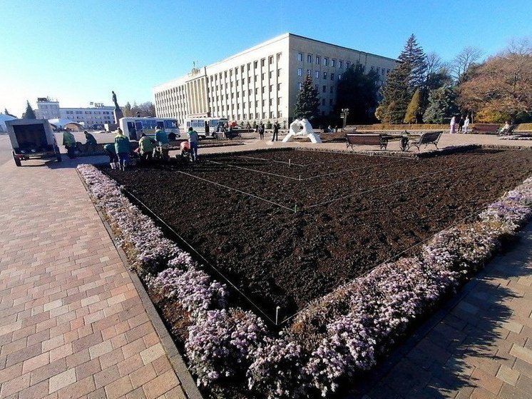 Более 200 тысяч цветов перезимуют в грунте и расцветут весной в Ставрополе