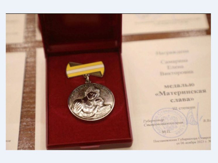 На Ставрополье 60 многодетных матерей наградили медалью «Материнская слава»