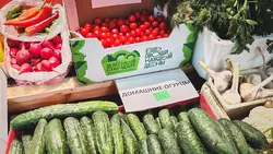 На Ставрополье дорожают продукты, а жителям предлагают работу с зарплатой 150 тысяч2