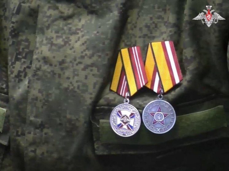 Студентов-добровольцев со Ставрополья наградили медалями и орденами за мужество и отвагу