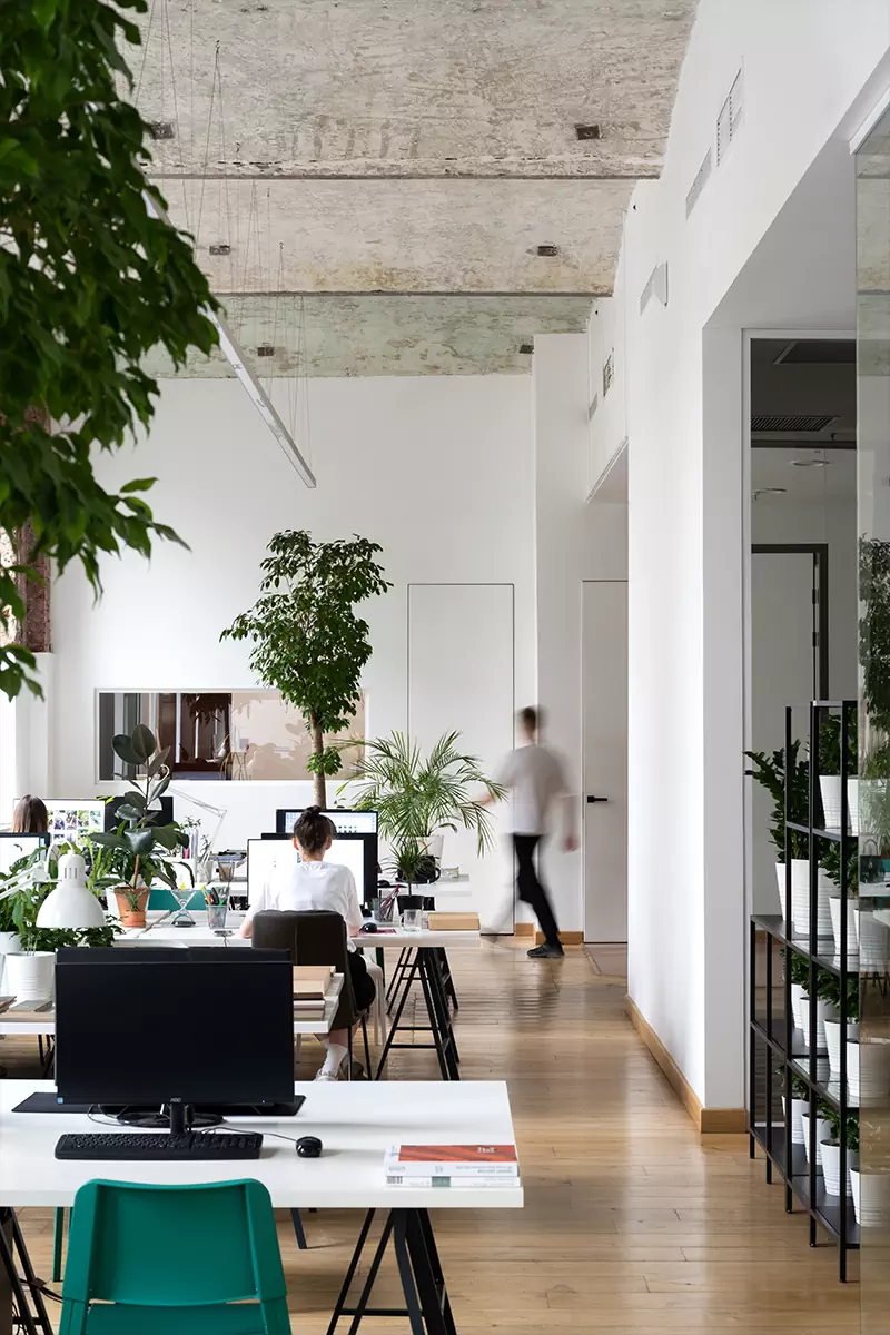 Офис как второй дом: монументальная архитектура и живые растения в интерьере рабочего пространства — проект бюро Basis
