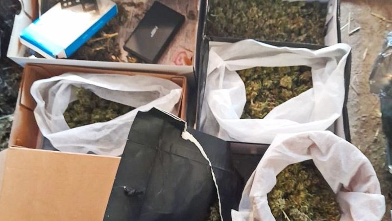 Более 1 кг марихуаны изъяли у жителя Ставрополья
