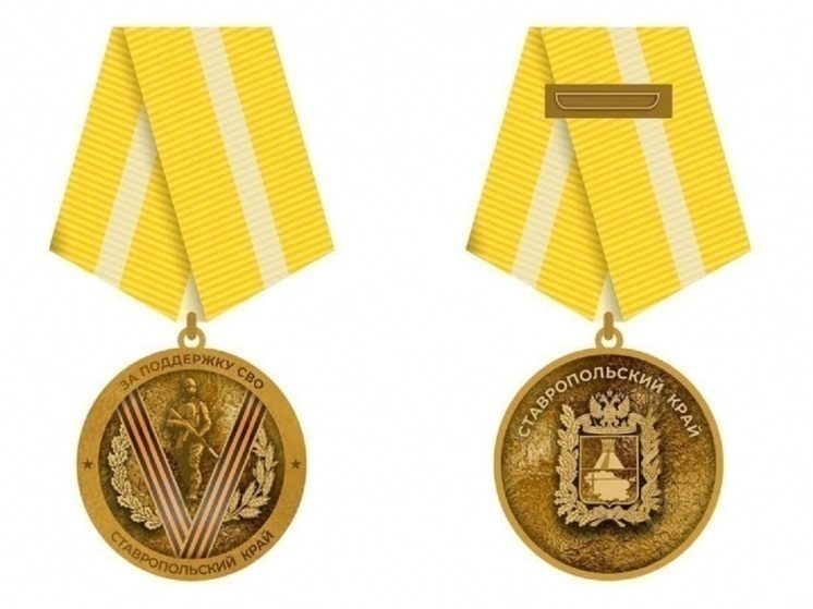 Медаль «За поддержку СВО» даст право награжденным ставропольцам на звание ветерана труда
