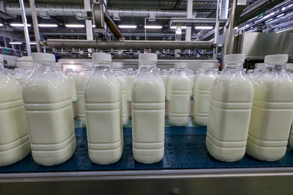 Молоко от умершего предпринимателя пустили в оборот на Ставрополье