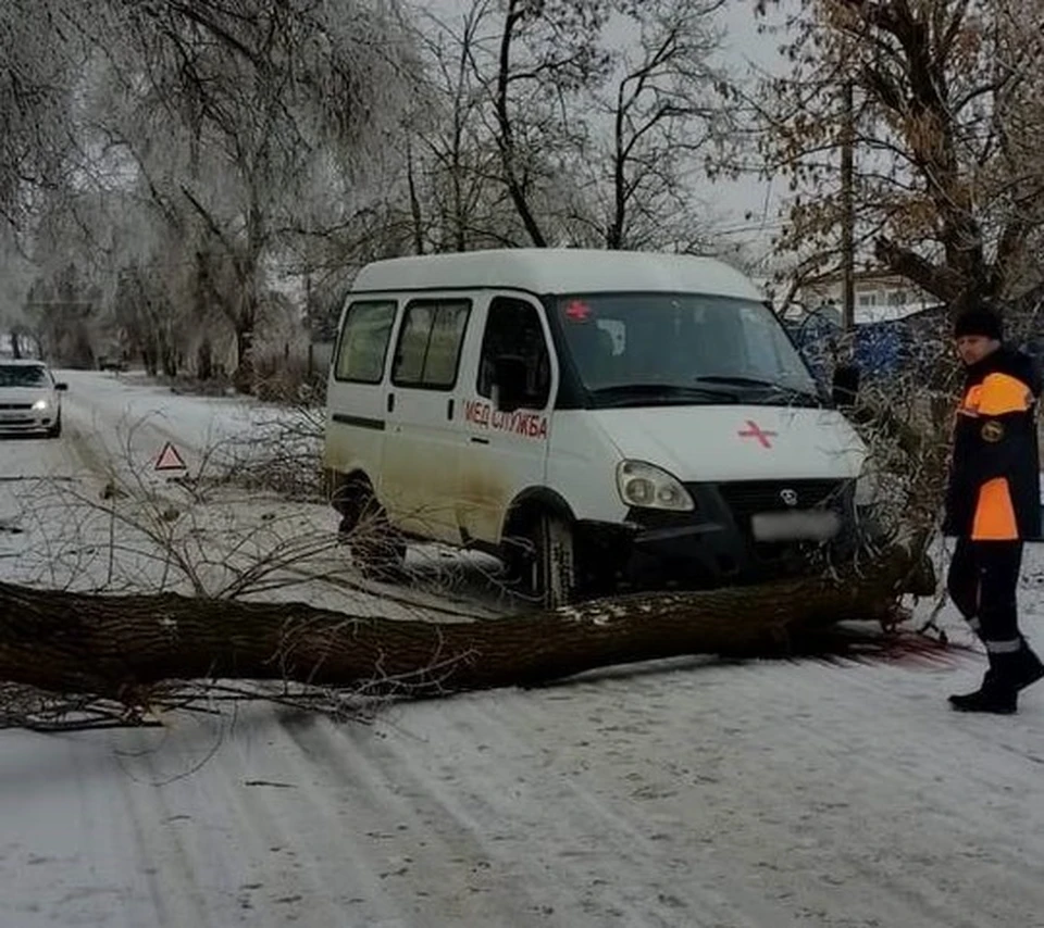 Фото: ПАСС СК