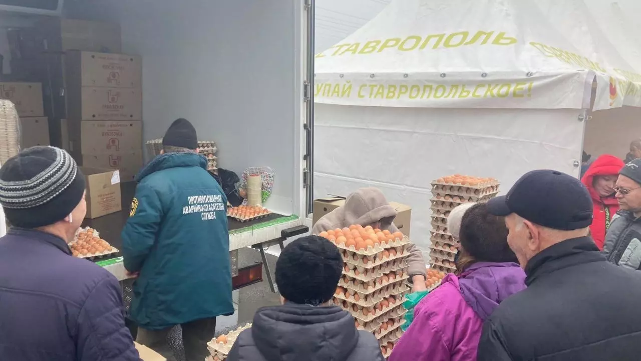 Стало известно, сколько стоят яйца на ярмарках в Ставрополе1