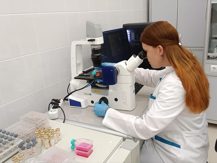 Ставропольские ученые разработали биосовместимые материалы для тканевой инженерии и хирургии