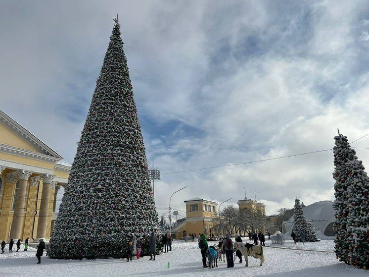 Терем Деда Мороза в Ставрополе работает ежедневно