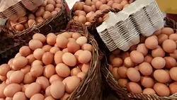 Яйца на Ставрополье официально подешевели впервые за несколько месяцев0