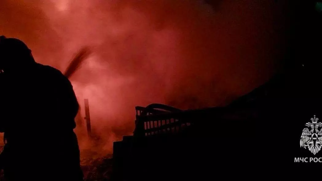 Крупный пожар произошел на ставропольской ферме — погибли животные1