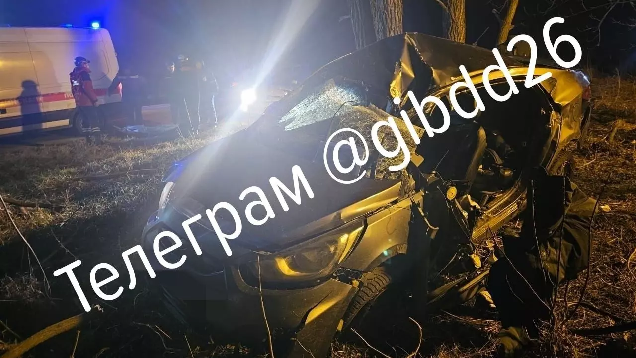Молодой водитель на Ставрополье влетел на скорости в дерево и погиб0