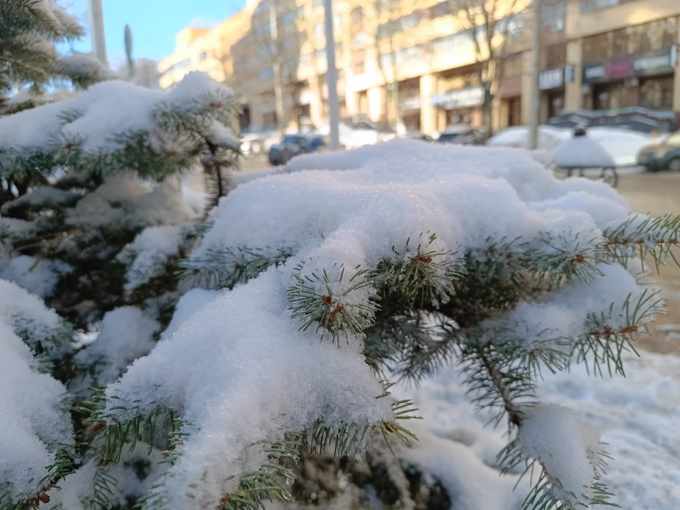 Зима обосновалась в Ставрополе