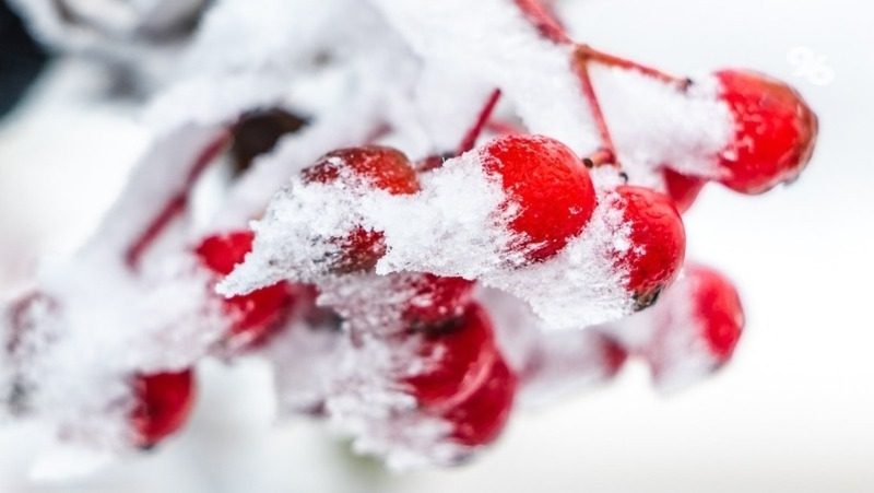 Ставропольцев предупредили о морозах до -12 градусов в начале рабочей недели