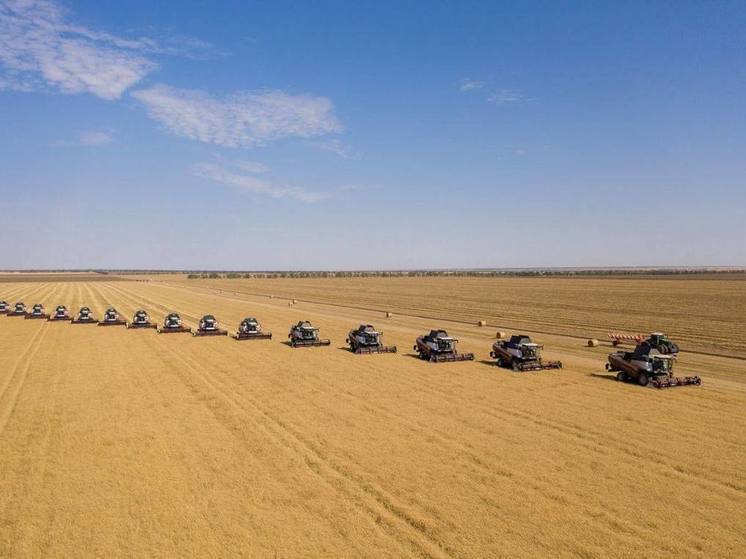 Ставрополье вошло в тройку крупнейших зернопроизводителей страны