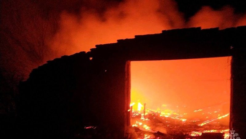 Свиноводческая ферма сгорела в Будённовском округе
