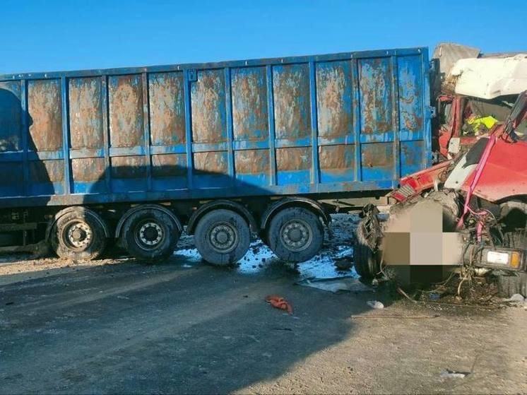 Три грузовика и легковушка столкнулись на трассе «Кавказ» на Ставрополье