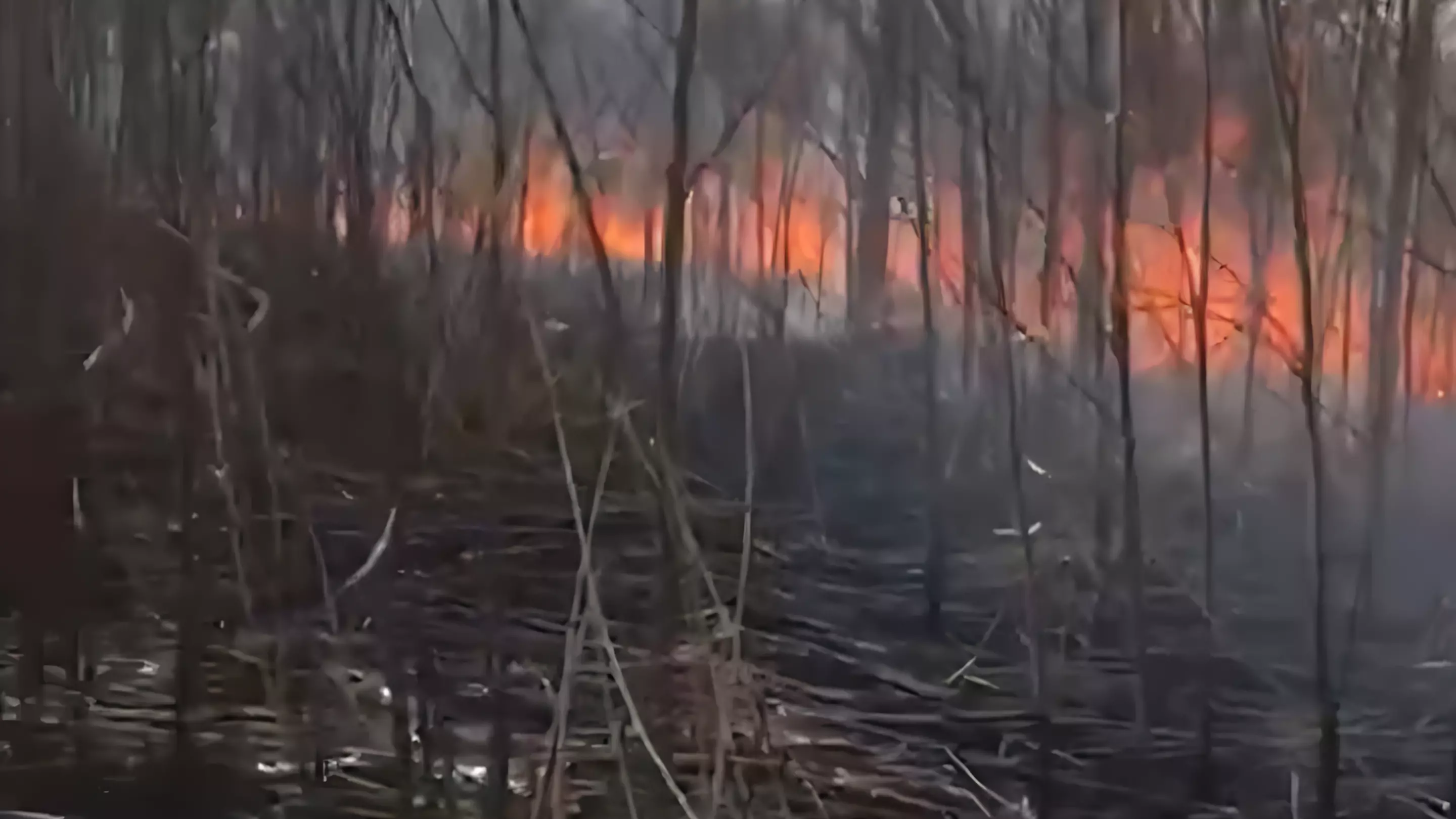 Целое село спасли от надвигающегося пожара на полыхающем Ставрополье0
