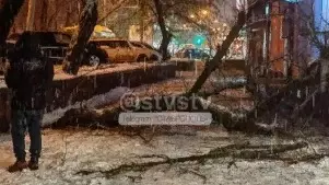 Дикие пробки и дерево упало на женщину: снег стал кошмаром для жителей Ставрополья0