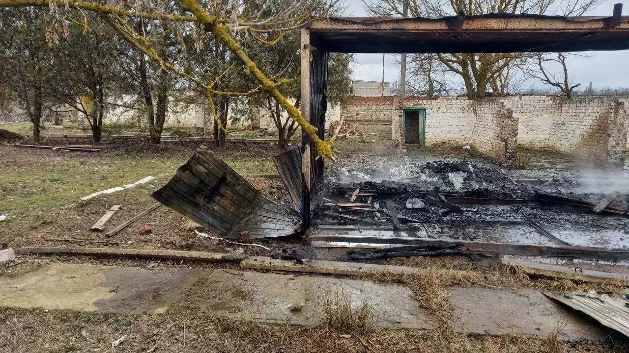 Неизвестные подожгли вагончик в приюте для бездомных животных на Ставрополье4