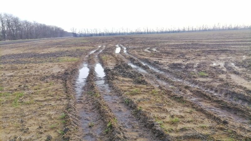 Поля в Шпаковском округе затопило жидким навозом