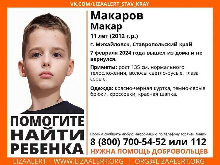 В Михайловске ищут пропавшего 7 февраля 11-летнего мальчика