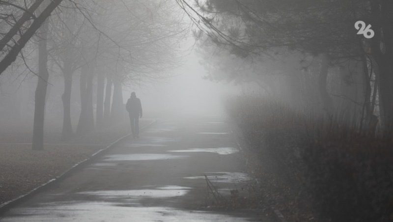 Водителей предупредили о густом тумане на дорогах в Ставрополе