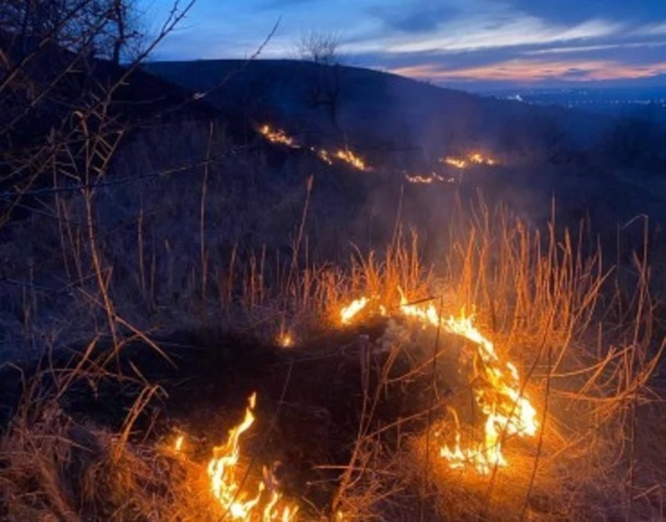 За минувшие сутки пожарные со Ставрополья затушили 28 ландшафтных пожаров0