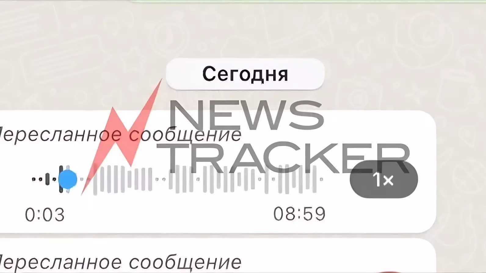 Боевиков, готовивших теракт на рынке, задержали силовики 29 марта на Ставрополье1