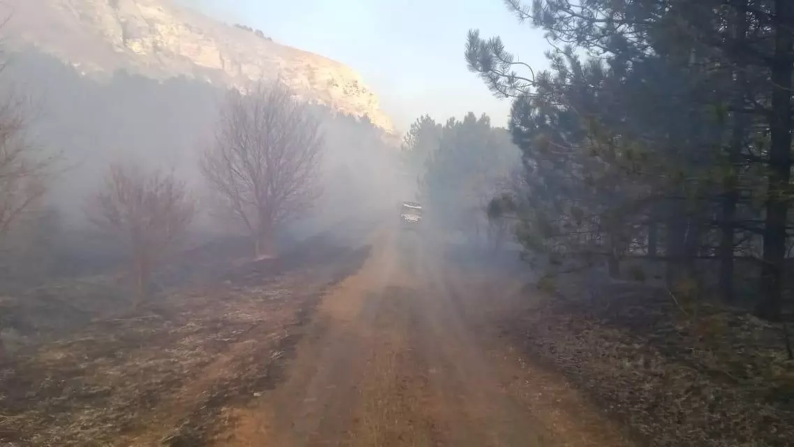 Дети подожгли лес в Кисловодске0
