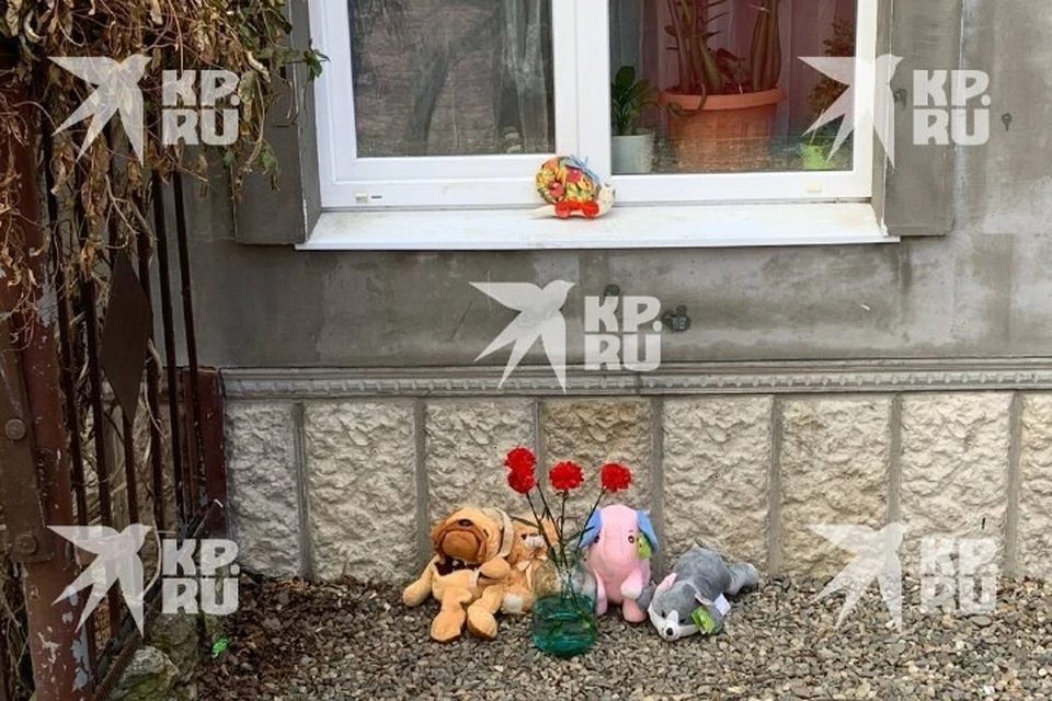Глава СКР Бастрыкин запросил доклад следствия об убийстве детей на Ставрополье0