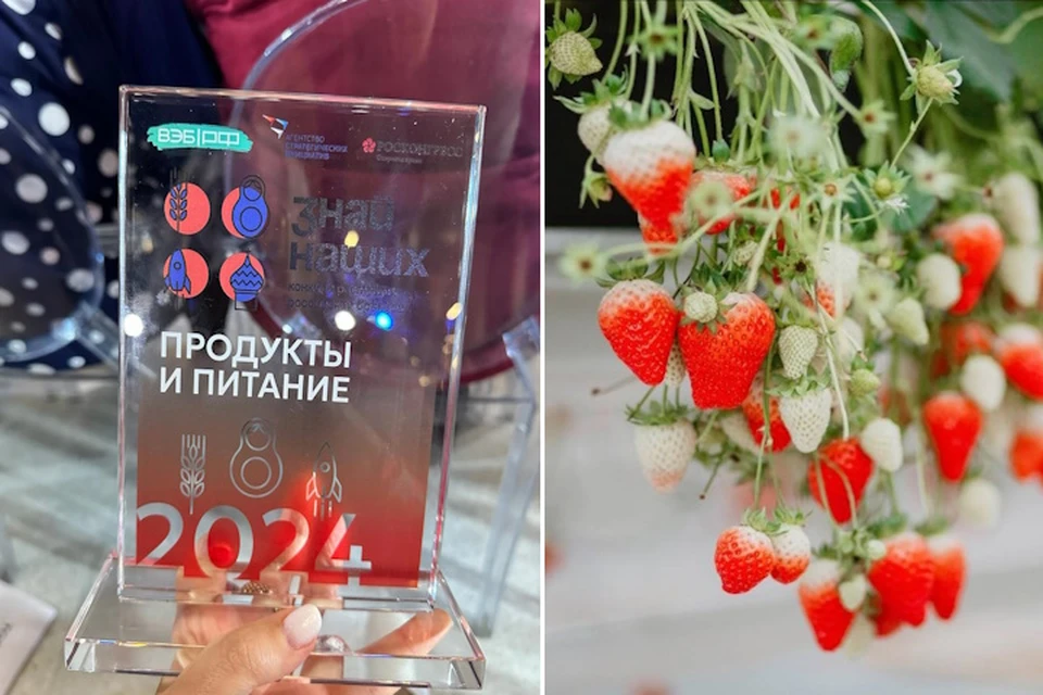 Клубнику из Кисловодска признали лучшим брендом всероссийского конкурса0