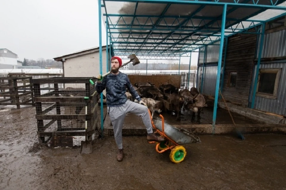 На экоферме Ставрополья производили масло неизвестного происхождения0