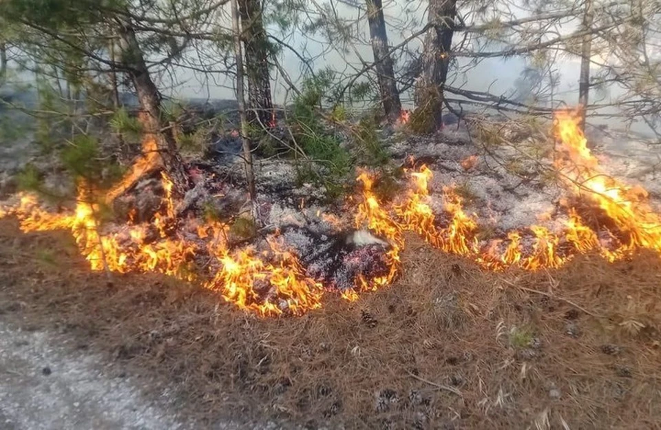 Неизвестные устроили пожар в лесу вблизи Кисловодска0