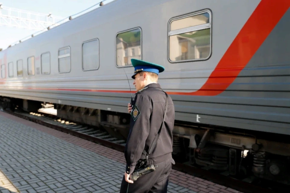 «Пользуйтесь Стамбулом»: Литва закрыла железнодорожные станции для россиян0
