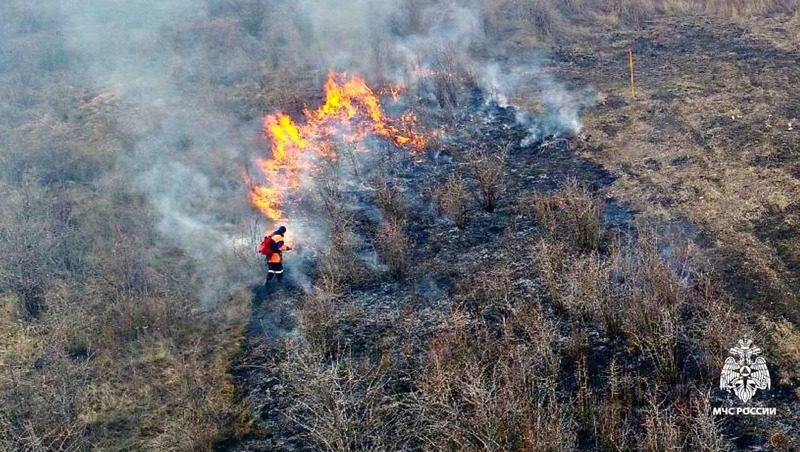 Сухая растительность на площади 10 га горит в Шпаковском округе