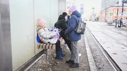 Тарифы на проезд снизили на трех маршрутах в Ставрополе0