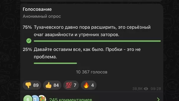 В опросе о вырубке деревьев ради дороги в Ставрополе проголосовали 10 тысяч человек0